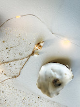 Load image into Gallery viewer, Coastal Shell Necklace