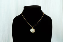 Load image into Gallery viewer, Natural Shell Necklace
