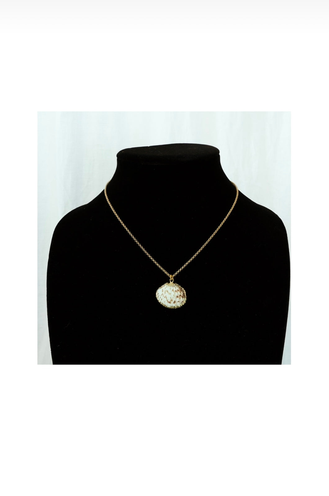 Natural Shell Necklace